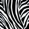 Black & white day